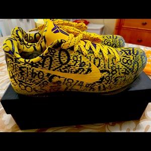 Extremely RARE Kobe Bryant MAMBA DAY sneakers. Has all of his stats. MINT